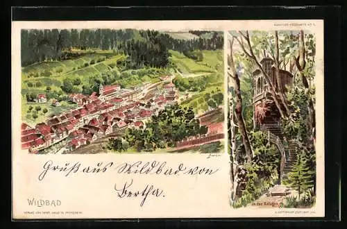 Künstler-AK Wildbad / Enz, In den Anlagen, Ortsansicht