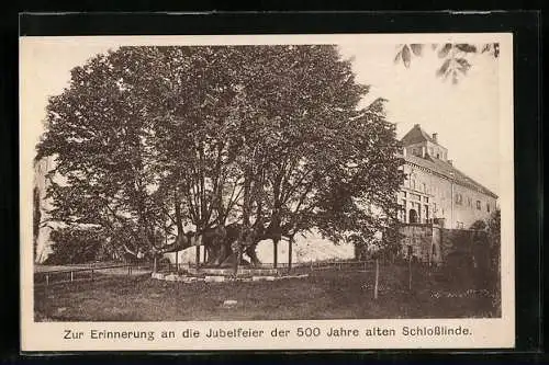 AK Augustusburg, Burgfest zur Erinnerung an 500 Jahre alte Schlosslinde, 1921