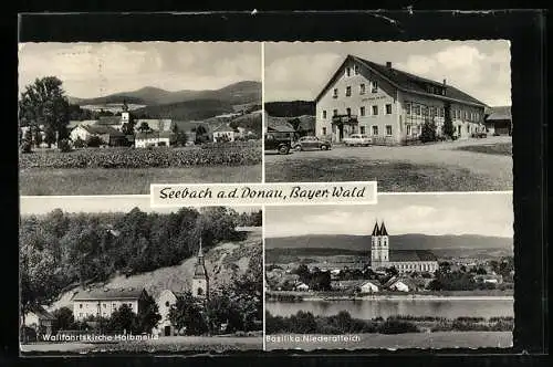 AK Seebach a. d. Donau, Gasthaus Zwickl und Ortsansichten