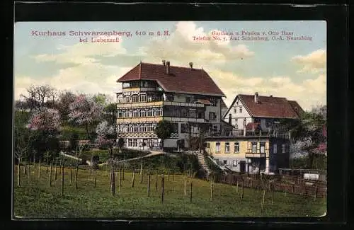 AK Schwarzenberg / Liebenzell, Gasthaus u. Pension z. Löwen