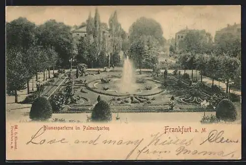 AK Frankfurt-Westend, Blumenparterre im Palmengarten