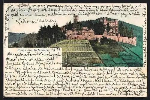 AK Ortenberg / Baden, Blick auf die Burg