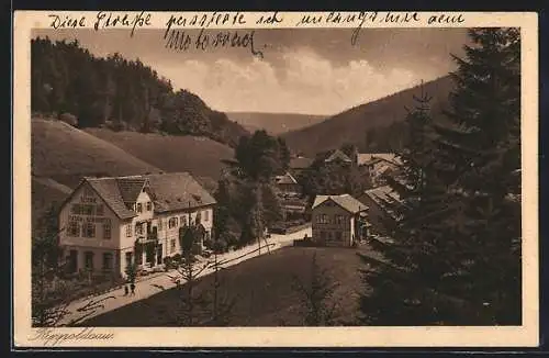 AK Bad Rippoldsau, Gasthaus Rosengarten aus der Vogelschau