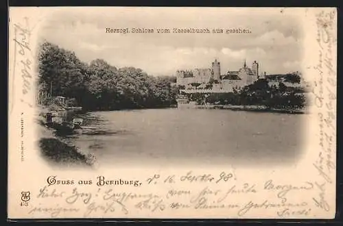 AK Bernburg, Herzogl. Schloss vom Kesselbusch aus gesehen