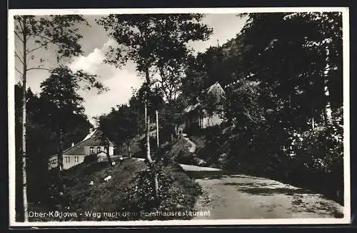 AK Ober-Kudowa, Weg zum Forsthaus-Restaurant
