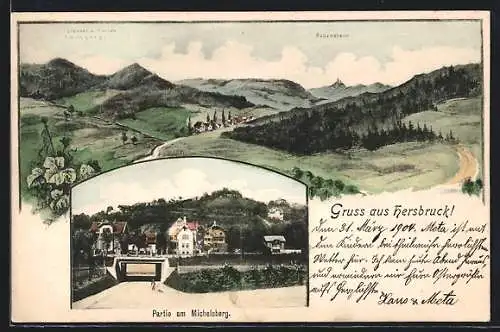 AK Hersbruck, Partie am Michelsberg, Panorama mit Hohenstein
