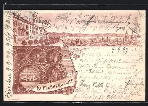 Lithographie Mainz, Sektkellerei Kupferberg, Totalansicht