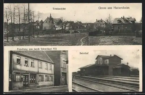 AK Hattersheim, Handlung von Jacob Schweikart, Bahnhof, Totalansicht