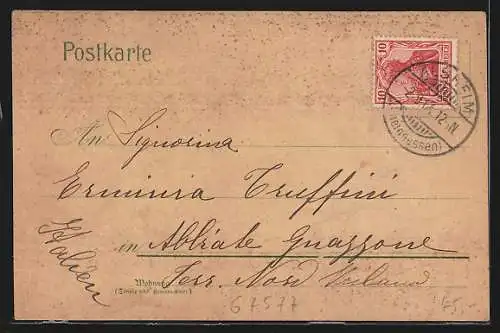 Lithographie Alsheim, Gsthaus zur guten Quelle, Geschäftshaus E. Friedrich, Post