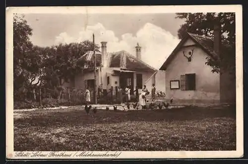 AK Wien, Städt. Lobau, Forsthaus (Milchausschank)