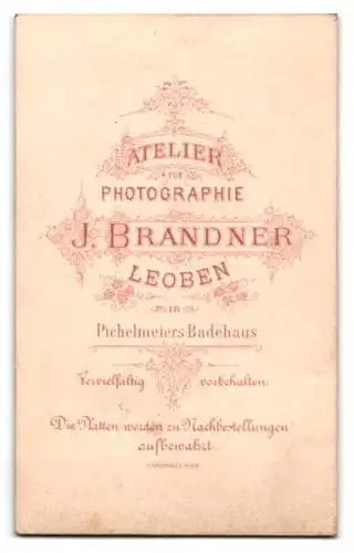 Fotografie J. Brandner, Leoben, Elegante Dame in tailliertem Kleis