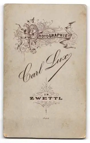 Fotografie Carl Lux, Zwettl N.Ö., Eleganter junger Mann mit Anzug und Hut