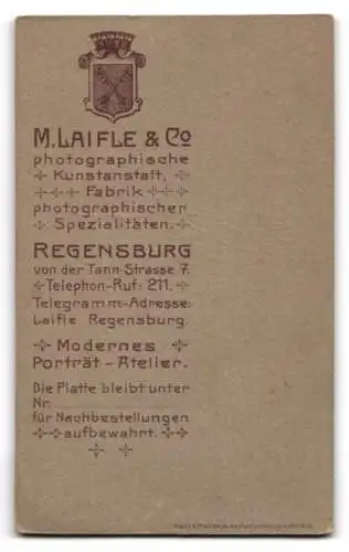 Fotografie M. Laifle & Co., Regensburg, von der Tann-Strasse 7, Niedliches Kleinkind mit Haarschleife und Kleid