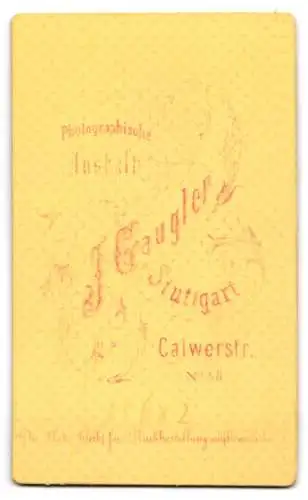 Fotografie J. Gaugler, Stuttgart, Calwerstr. 58, Junge Dame mit aufwendig hochgestecktem Haar im weiten Kleid