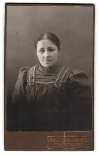 Fotografie Carl Stallechner, Trostberg, Bürgerliche Dame im Kleid mit Puffärmeln mit melancholischem Blick