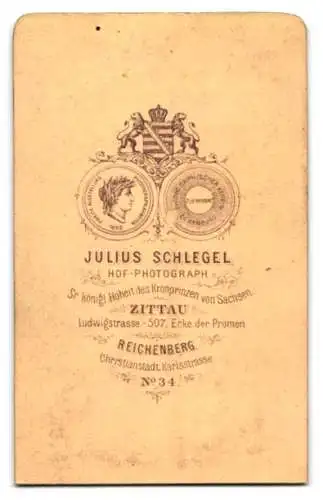 Fotografie Julius Schlegel, Zittau, Ludwigstr. 507, Bürgerliche Dame mit aufwendig hochgestecktem Haar u. grosser Brosche