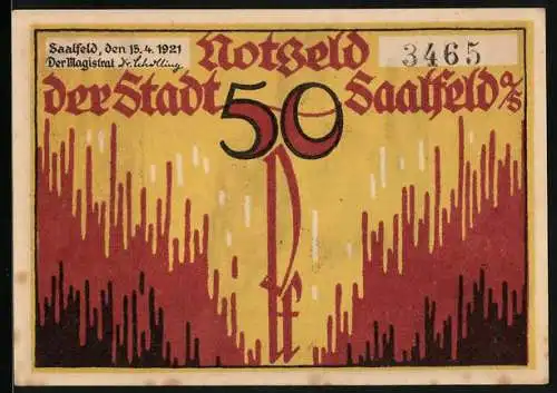 Notgeld Saalfeld /Saale 1921, 50 Pfennig, Der hohe Schwarm, Stadtwappen