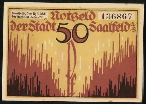 Notgeld Saalfeld /Saale 1921, 50 Pfennig, Ansicht hoher Schwarm