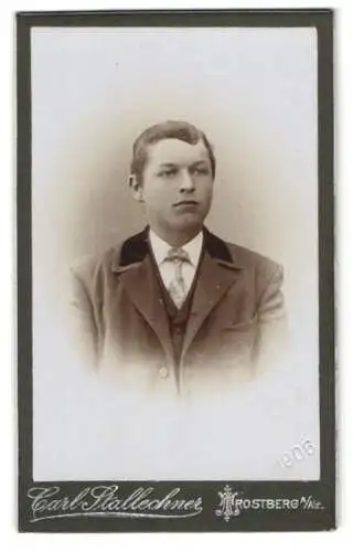 Fotografie Carl Stallechner, Trostberg a. Alz, Junger Herr im Anzug mit Krawatte