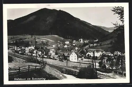 AK Steinhaus am Semmering, Ortsansicht mit Berg dahinter