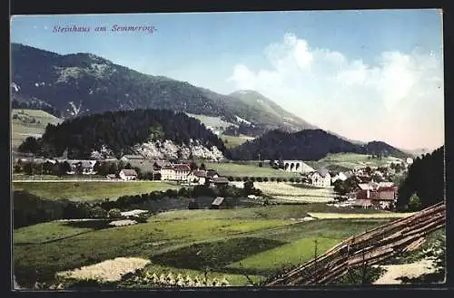 AK Steinhaus am Semmering, Ortsansicht mit Feldern und Gebirgspanorama