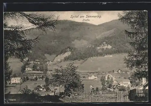 AK Spital am Semmering, Talblick mit der Ortschaft