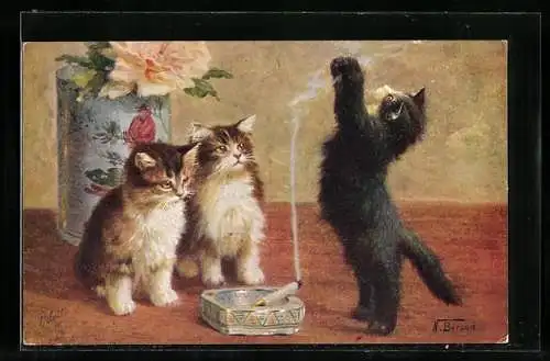 AK Drei junge Katzen spielen mit Zigarettenrauch