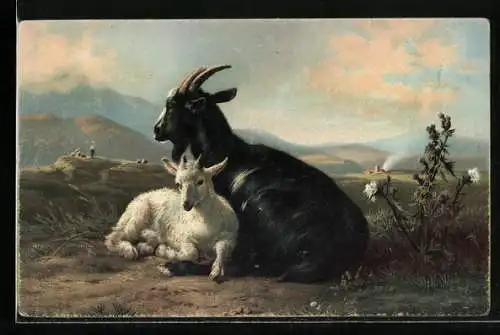 Künstler-AK Stengel & Co. Nr. 29274: Goat and Kid, Ziegenbock und Zicklein
