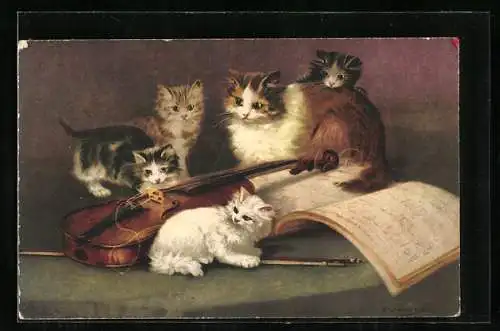 AK Katze spielen mit Geige und Notenheft