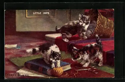 AK Drei junge Katzen beim Spiel mit einem Wollknäuel