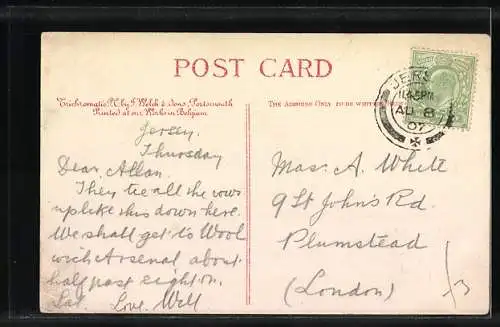 AK Milchkühe auf der Weide