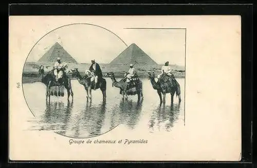 AK Groupe de chameaux et Pyramides
