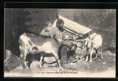 AK Schweizer Ziegenhirte mit seinen Tieren