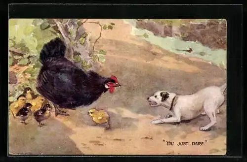 AK Hühnermutter sieht sich mit bellendem Hund konfrontiert