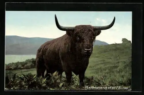 AK Lammonarch of all I Survey