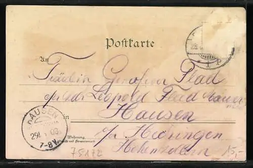 Lithographie Pforzheim, Kupferhammer, Rathaus, Seehaus