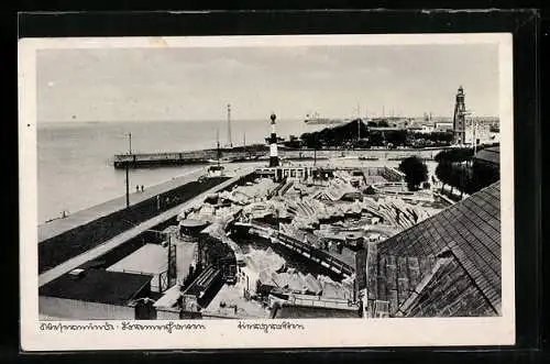 AK Wesermünde-Bremerhaven, Blick auf den Tiergarten