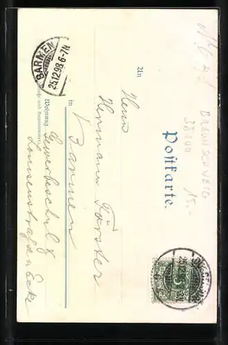 Glitzer-Perl-AK Braunschweig, Burg Dankwarderode und Rathausturm