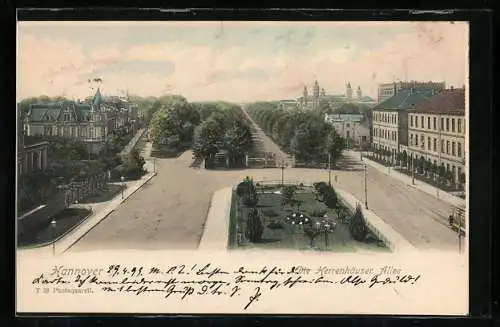 AK Hannover, Herrenhäuser Allee mit Strassenbahn