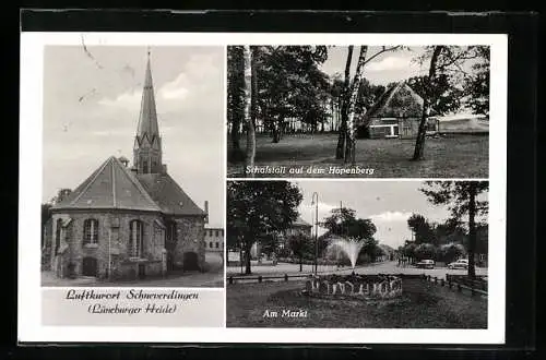 AK Schneverdingen /Lüneburger Heide, Kirche, Schafstall auf dem Höpenberg, Am Markt