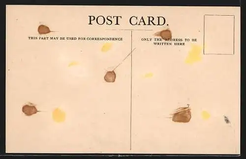 AK Union-Castle Line to South and East Africa, Intermediate Steamer Llandaff Castle, Passagierschiff