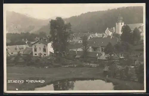 AK St. Aegyd a. Neuwald, Ortsansicht mit Kirche