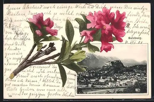AK Salzburg, Rosa Blüten und Panorama mit Burg