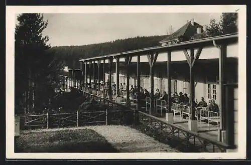 AK Grimmenstein, Heilstätte der Oesterr. Ges. v. Roten Kreuz, Schwedenpavillon