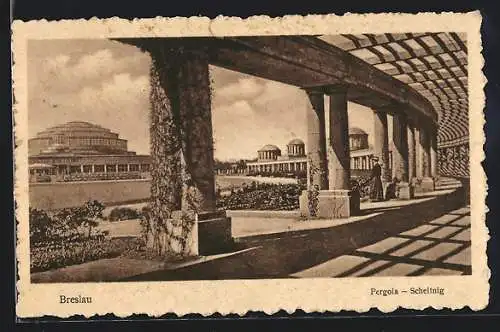 AK Breslau, Scheitnig, Pergola
