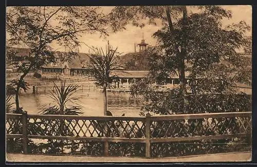 AK Vizakna, An der Salzburg