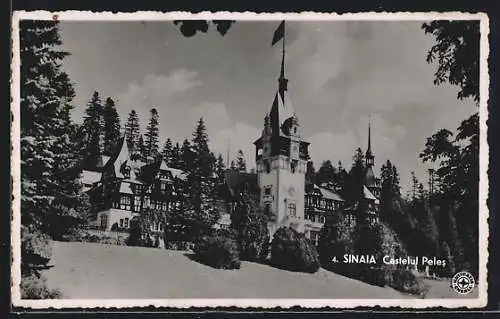 AK Sinaia, Castelul Peles