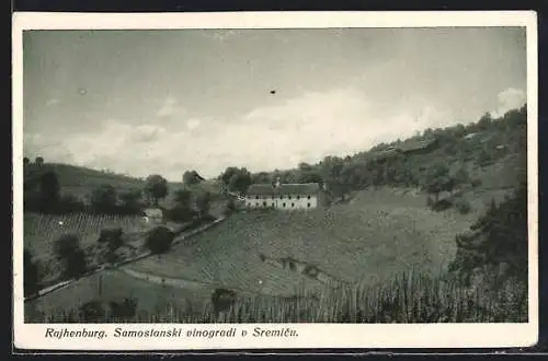 AK Rajhenburg, Samostanski vinogradi v Sremicu