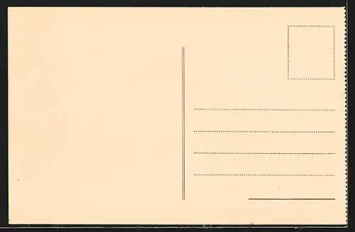 AK Laibach, Dvorni trg z gradom