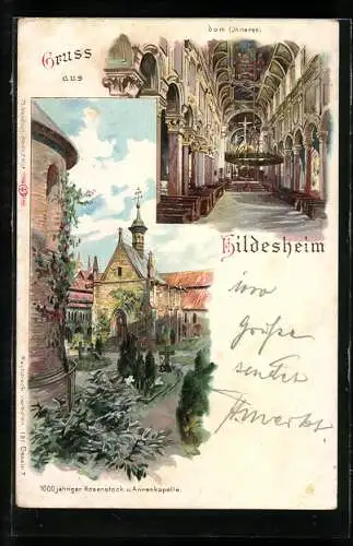 Lithographie Hildesheim, Innenansicht des Doms, 1000 jähriger Rosenstock und Annenkapelle
